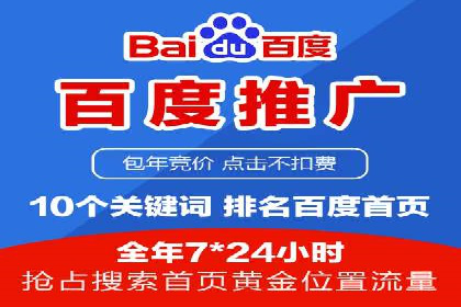 网络推广与竞价广告：双管齐下的策略案例
